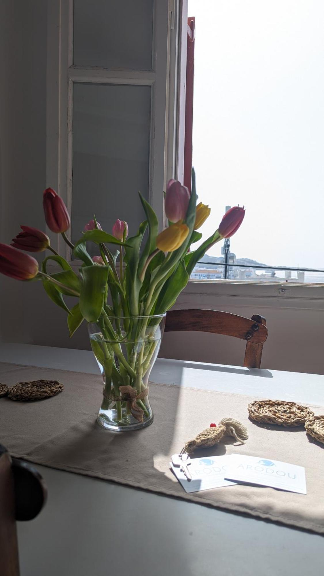 Mykonos Town Arodou Studio And Apartment מראה חיצוני תמונה