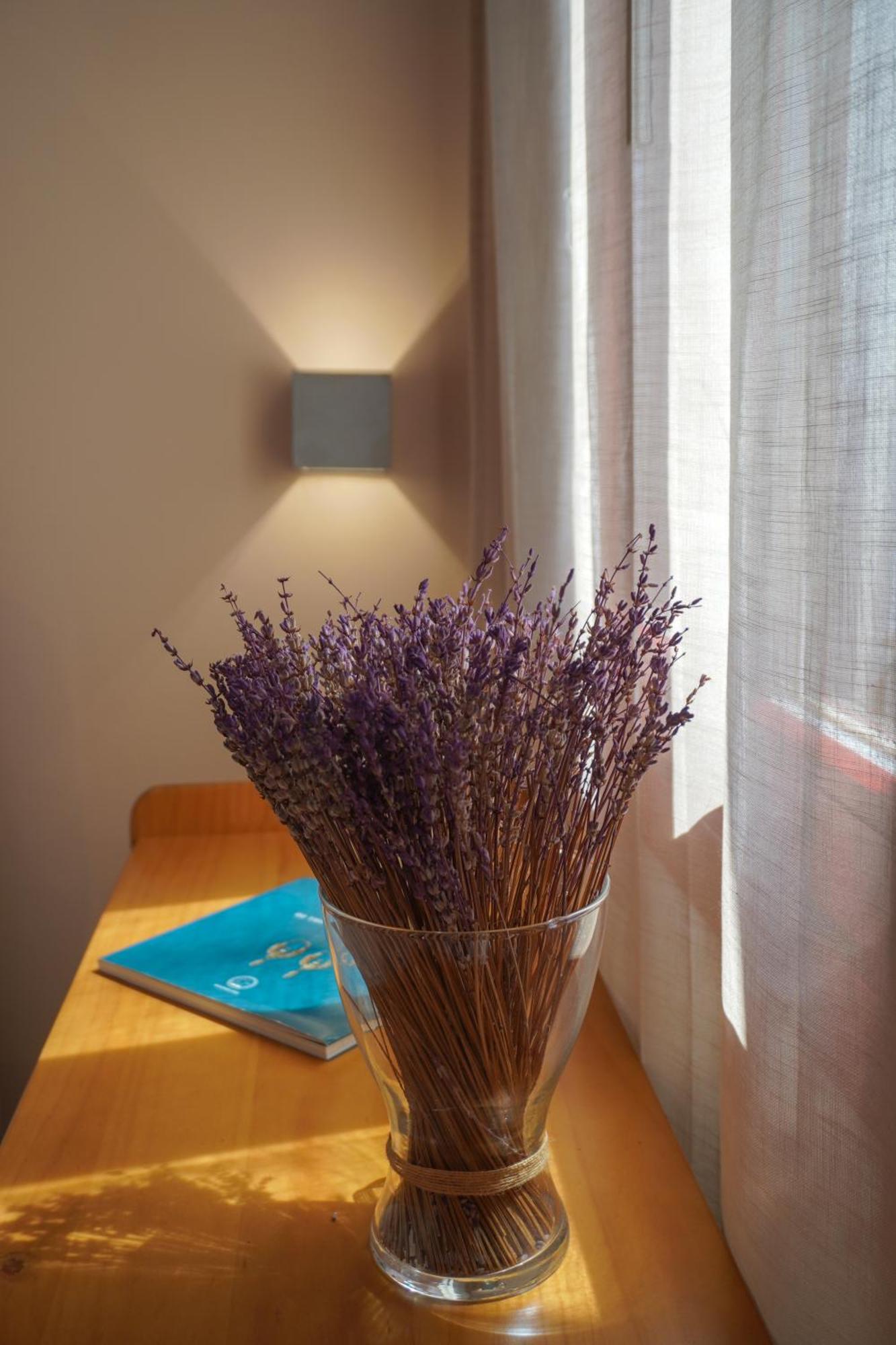 Mykonos Town Arodou Studio And Apartment מראה חיצוני תמונה